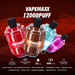 Vapemax 12000 Puffs vape store india disposable vape